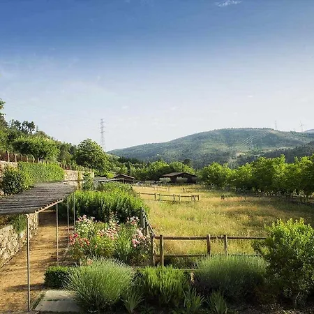 Casa Da Cerca Chalet Mondim da Beira